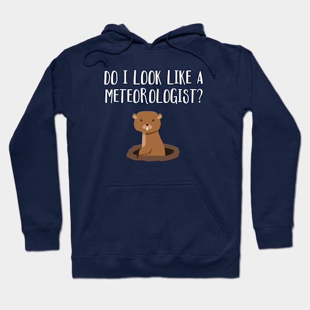 Do I Look Like A Meteorologist? Groundhog Day Funny Hoodie by FlashMac